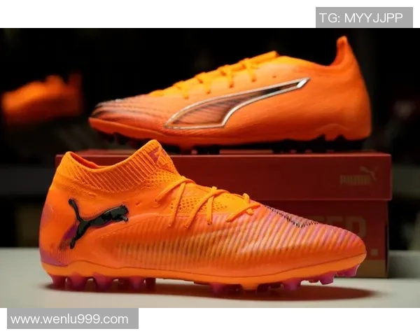 室内足球明星的鞋子选择揭秘让你了解他们的运动装备与风格