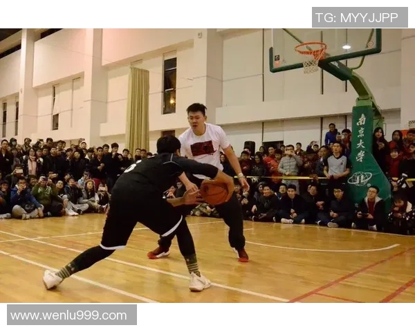 全明星街道篮球下载畅享热血对决体验尽在掌握之中