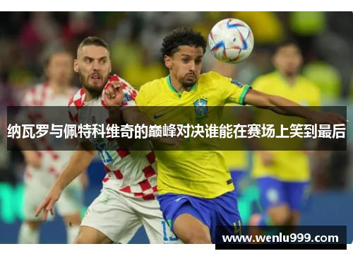 纳瓦罗与佩特科维奇的巅峰对决谁能在赛场上笑到最后